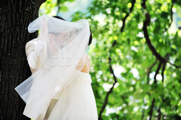 Vőlegény menyasszony fehér ruha zöld fák virág Stock fotó © taden