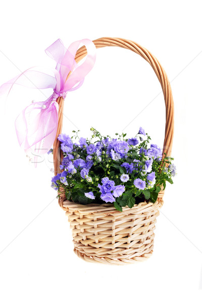 Niebieski kolorowy wiklina koszyka piękna różowy Zdjęcia stock © taden