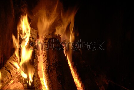 fire in the dark  Stock photo © taden