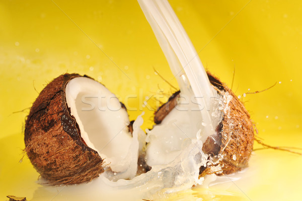 Mleko kokosowe splash Kokosowe żółty Zdjęcia stock © taden