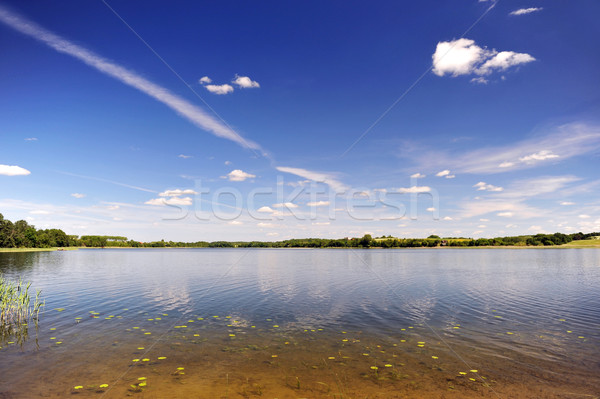 calm water of  lake Stock photo © taden