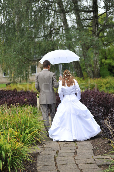 groom and bride walking  Stock photo © taden