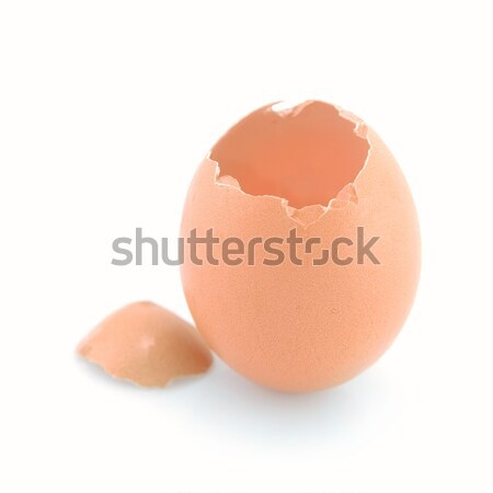 cracked chicken egg  Stock photo © taden
