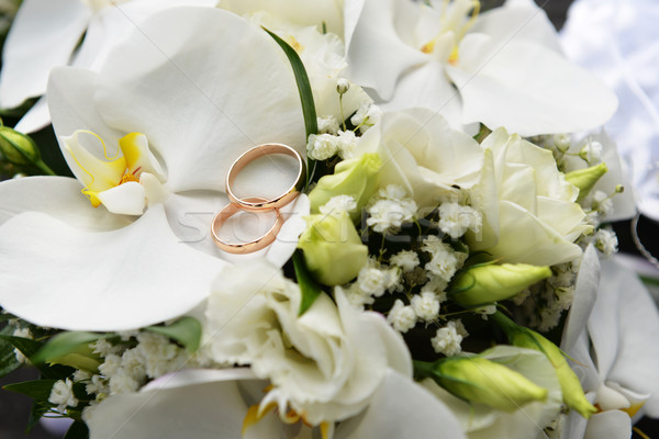 orchids and wedding rings Stock photo © taden