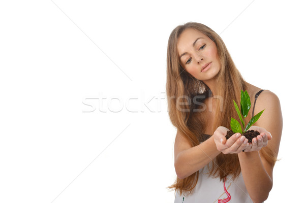 若い女性 美しい 緑 芽 ツリー 手のひら ストックフォト © taden