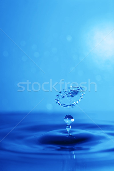 water splash Stock photo © taden