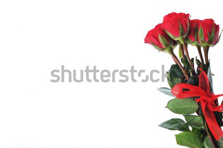 美しい 赤いバラ 孤立した 白 愛 バラ ストックフォト © taden