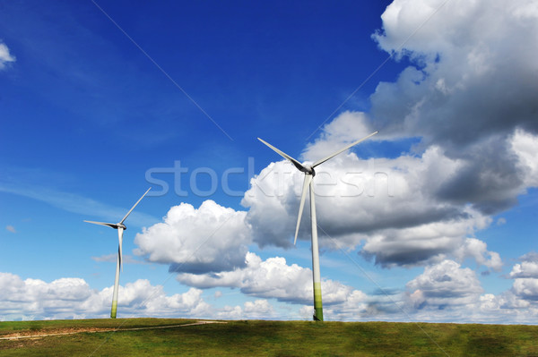 Felder blauer Himmel Himmel Sonne grünen Stock foto © taden