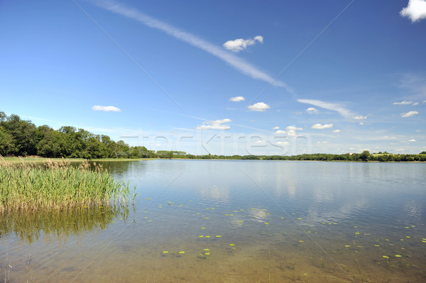 calm water of  lake Stock photo © taden