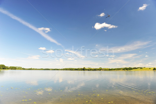 calm water of  lake Stock photo © taden