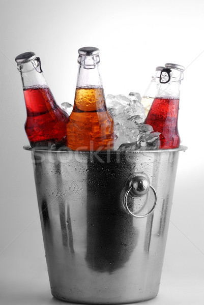 Bière bouteilles trois différent seau glace Photo stock © taden