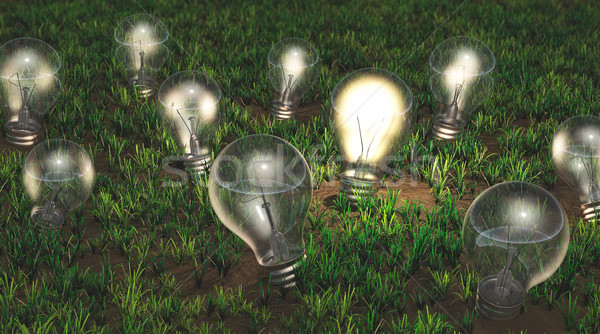 Stock photo: Cultivation of ideas