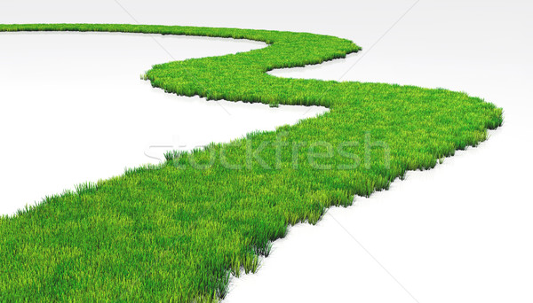 grassy path Stock photo © TaiChesco