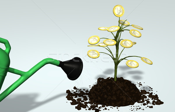 Stock photo: One euro money little tree watered