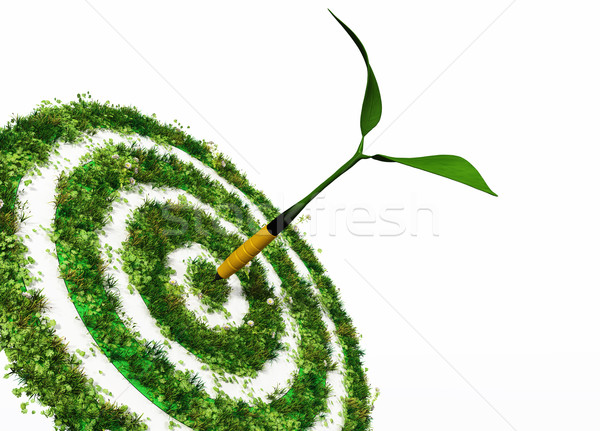 the aim is the environment Stock photo © TaiChesco
