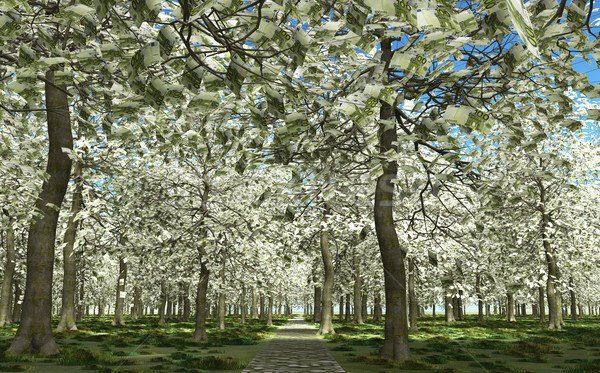 100 euro frunze copaci complet Imagine de stoc © TaiChesco