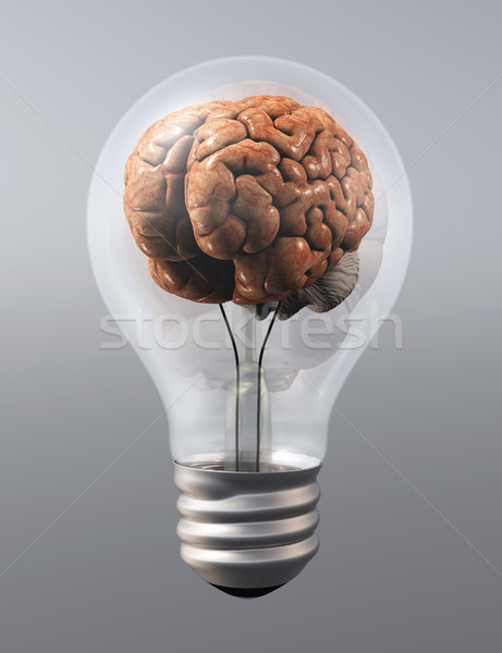 ストックフォト: 脳 · 電球 · 人間の脳 · グレー · ガラス