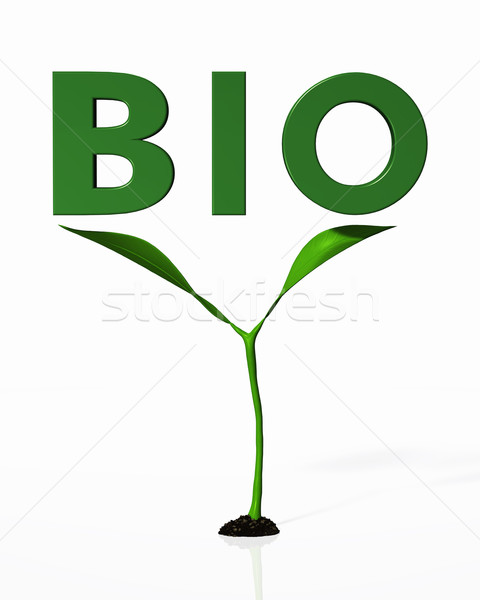 Fiatal növény bio szó föld fehér Stock fotó © TaiChesco