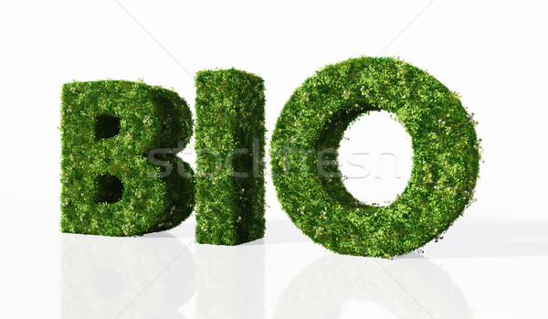 Bio woord gras brieven gedekt bloemen Stockfoto © TaiChesco