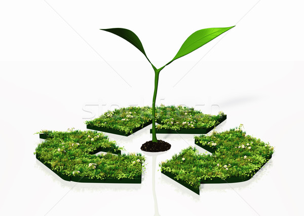 Pequeño planta reciclaje símbolo vista dos Foto stock © TaiChesco