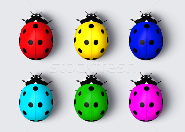 Gekleurd lieveheersbeestjes top zes Maakt een reservekopie Stockfoto © TaiChesco