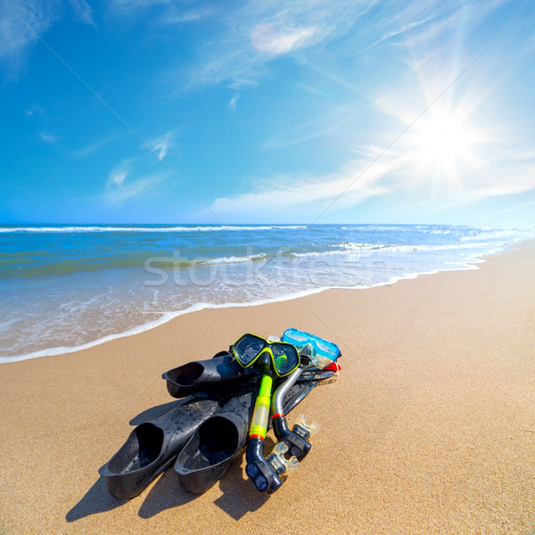 Equipment for Diving on the sea beach with blue sky and sun Stock photo © Taiga