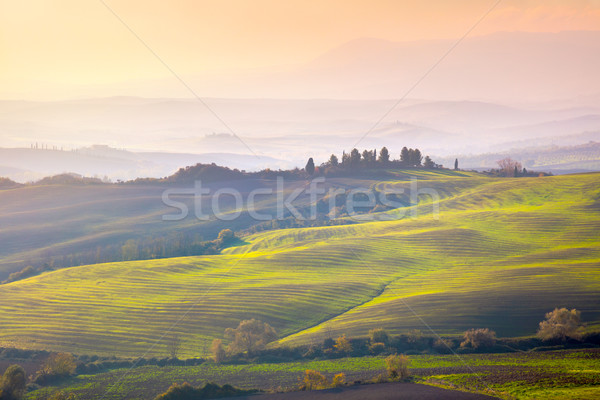 Toskana Landschaft sunrise Licht charakteristisch Stock foto © Taiga