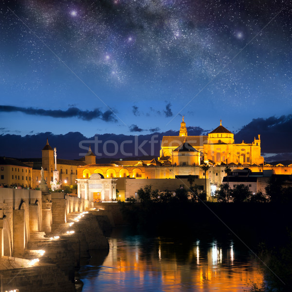 Roman Bridge and Mosque (Mezquita)  at night, Spain, Europe Stock photo © Taiga