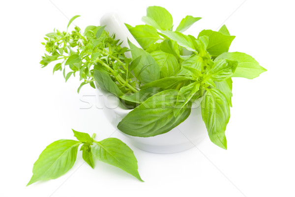 Fresh herbs whith mortar and pestle / isolated on white Stock photo © Taiga