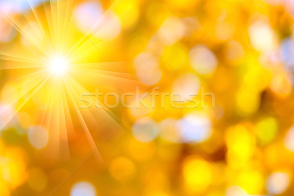 Herbst abstrakten Herbstsaison Magie Sonne Lichter Stock foto © Taiga