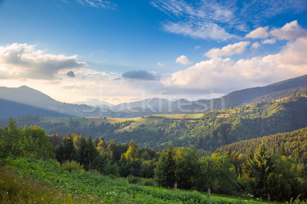 Zomer dag berg vallei mooie natuur Stockfoto © Taiga