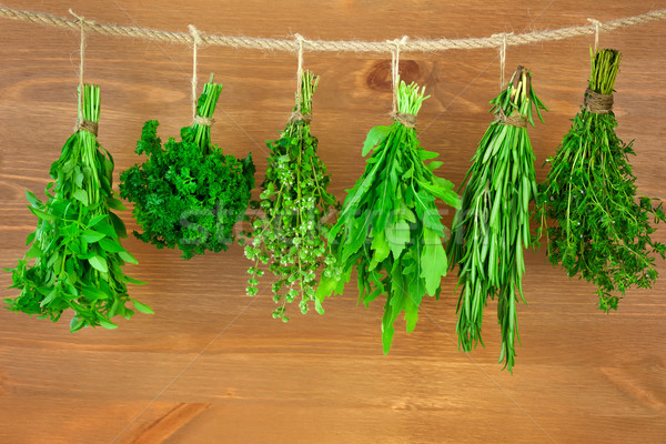 Fresh  Herbs Collection / Vintage Style Stock photo © Taiga