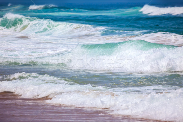 Meer Wellen schönen Farben Sommer Tag Stock foto © Taiga