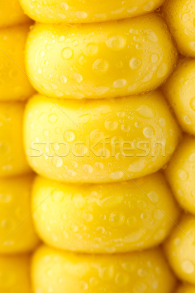 Grains of Ripe Corn / Extreme Macro / Yellow background Stock photo © Taiga