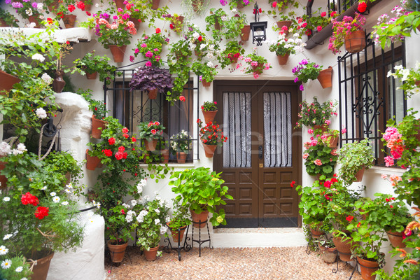 Flowers Decoration of Vintage Courtyard,  Spain, Europe Stock photo © Taiga