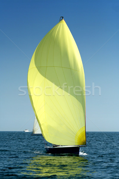 Sailing yacht with spinnaker in the wind Stock photo © Taiga