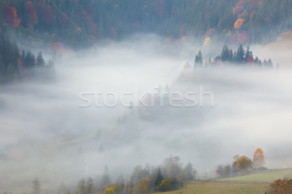 View misty nebbia montagna bella autunno Foto d'archivio © Taiga