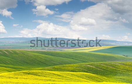 Stock photo: Wonderful panoramic view of colorful and striped hills, beautifu