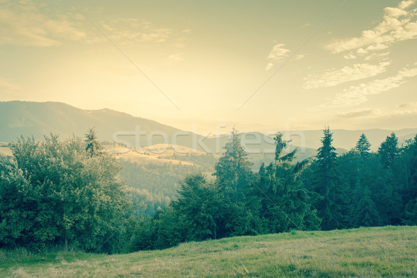 stock photo: sunny day is in mountain landscape - vintage style