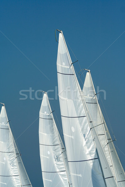 Sailing in Good Wind / sails background Stock photo © Taiga