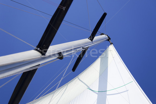 White Sails / yachting Stock photo © Taiga
