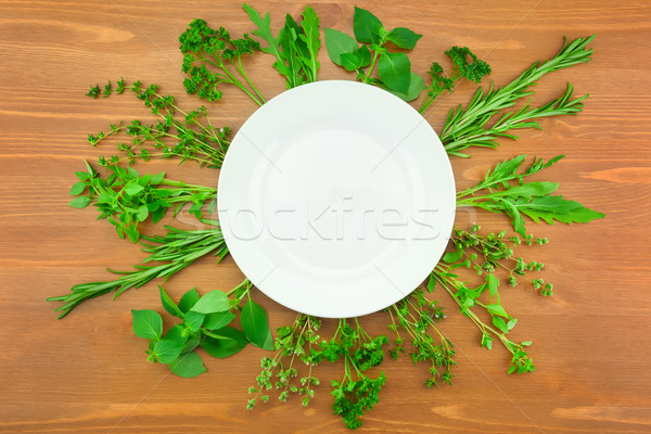 Fresh Herbs Collection as Border Around White Plate  Stock photo © Taiga
