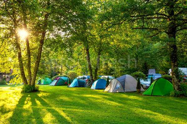 Tents Camping area, early morning, beautiful natural place Stock photo © Taiga
