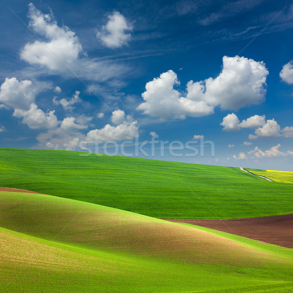 Resumen colorido campos cielo hermosa naturaleza Foto stock © Taiga