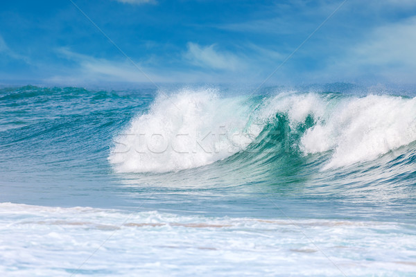 Waves in the warm Sea Water on the beach, Happy Summer  Stock photo © Taiga