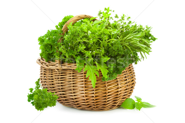 Collection of Fresh Spicy Herbs in Basket / isolated Stock photo © Taiga