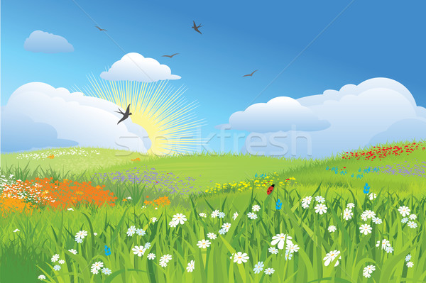 Colorfull meadow / flower and grass / vector Stock photo © Taiga