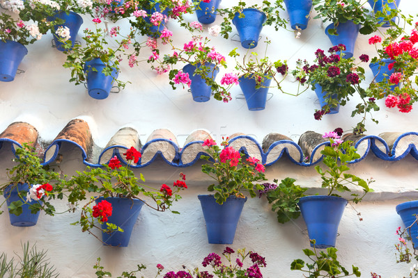 Vieux mur fleurs décorations européenne rue [[stock_photo]] © Taiga