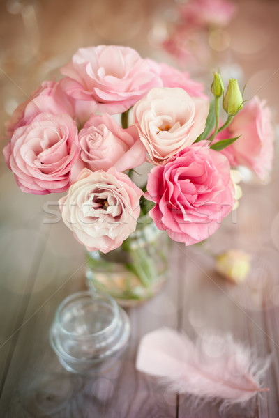 Bright background with roses and feather Stock photo © Taiga