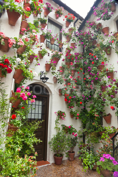 Flowers Decoration of Courtyard, typical house in Spain, Europe Stock photo © Taiga